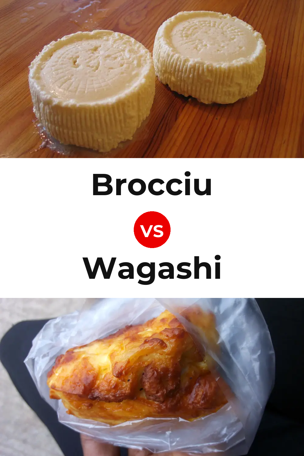Brocciu Cheese vs Wagashi Cheese Pinterest comparison