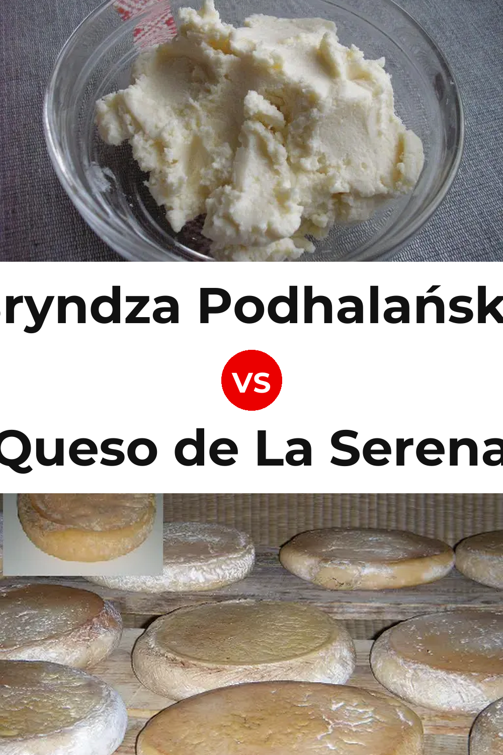 Bryndza Podhalańska Cheese vs Queso de La Serena Pinterest comparison