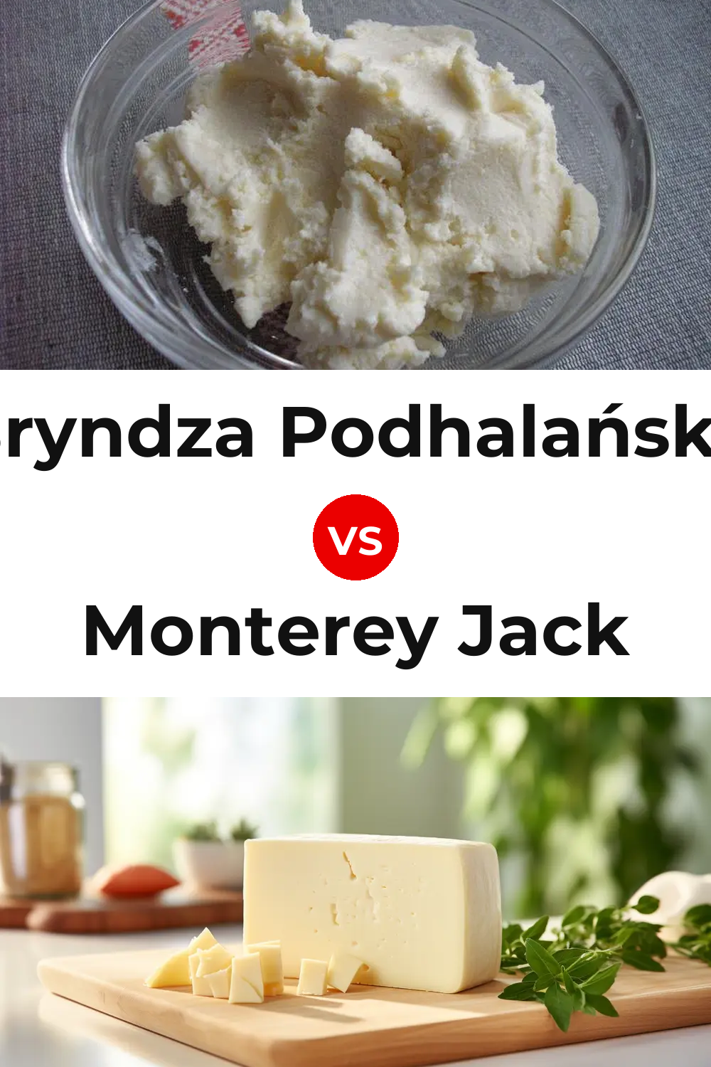 Bryndza Podhalańska Cheese vs Monterey Jack Cheese Pinterest comparison