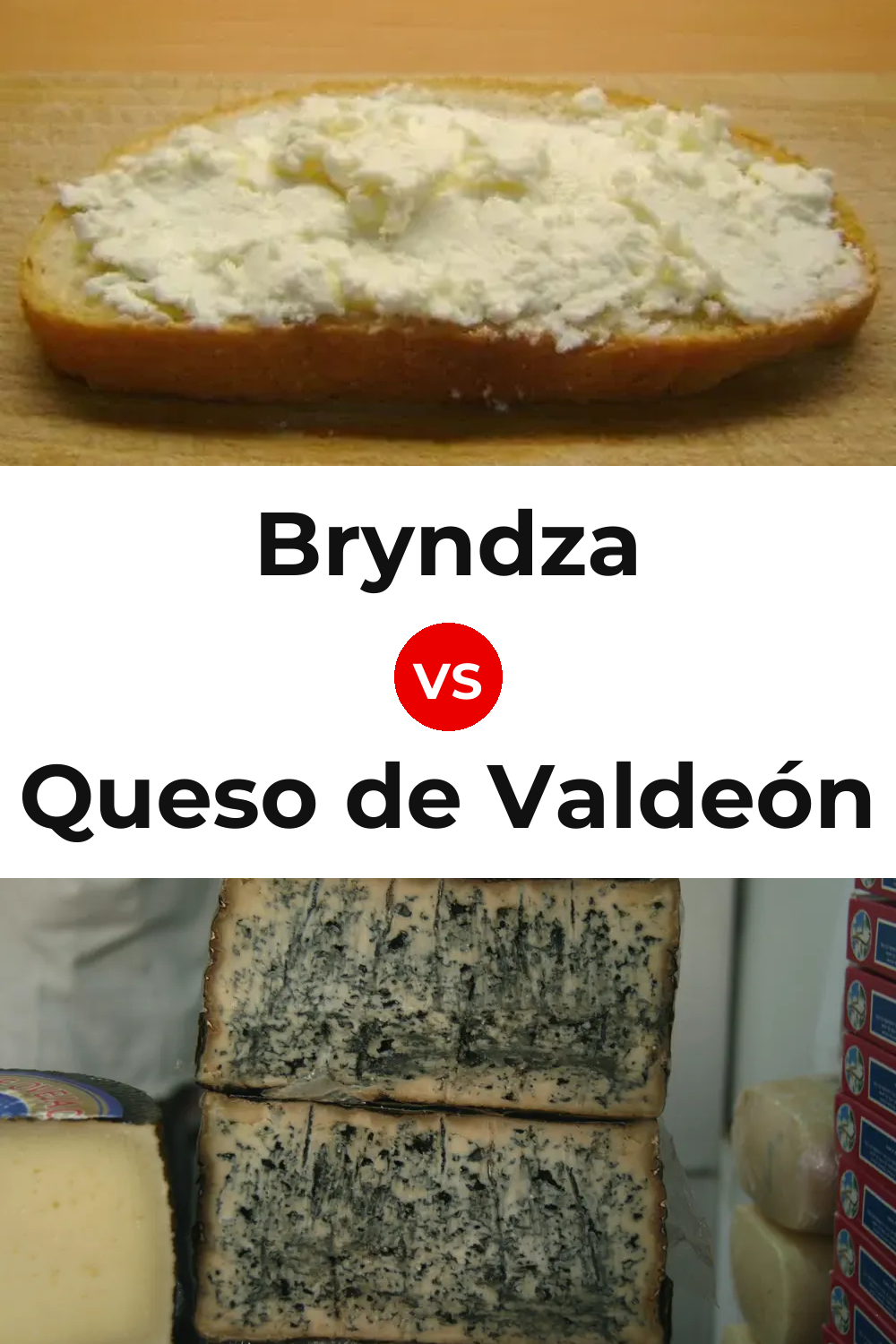 Bryndza Cheese vs Queso de Valdeón Pinterest comparison