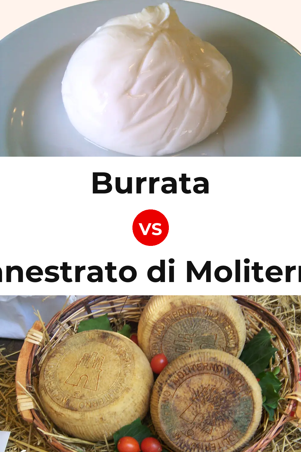 Burrata Cheese vs Canestrato di Moliterno Cheese Pinterest comparison