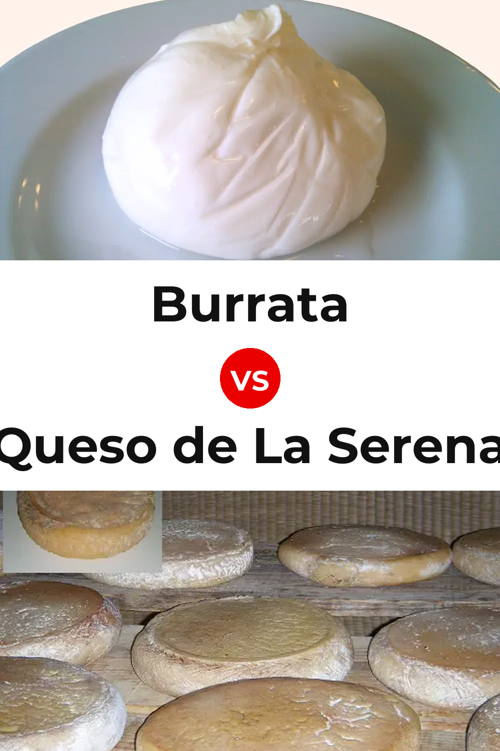 Burrata Cheese vs Queso de La Serena Pinterest comparison