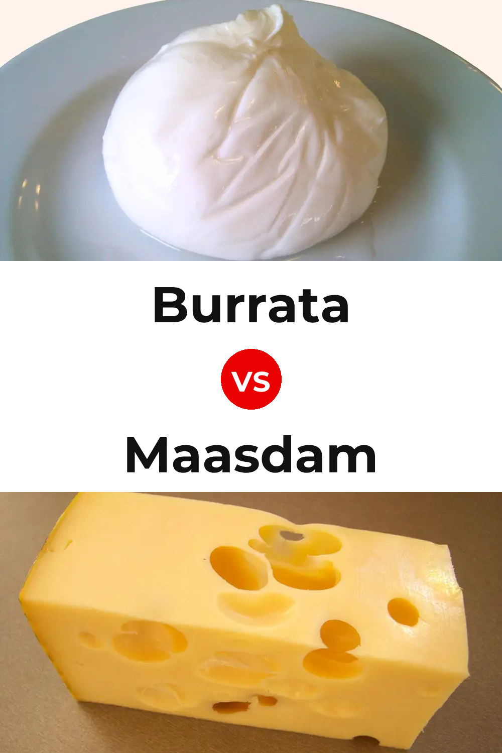 Burrata Cheese vs Maasdam Cheese Pinterest comparison
