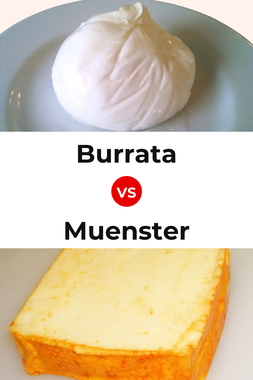 Burrata Cheese vs Muenster Cheese Pinterest comparison