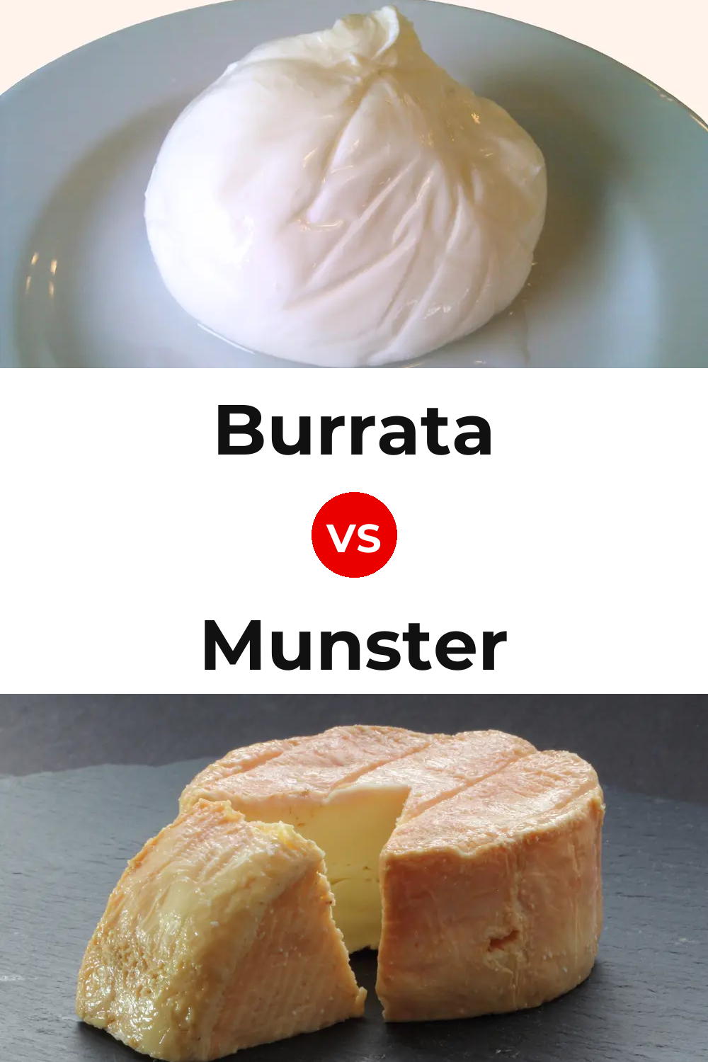 Burrata Cheese vs Munster Cheese Pinterest comparison