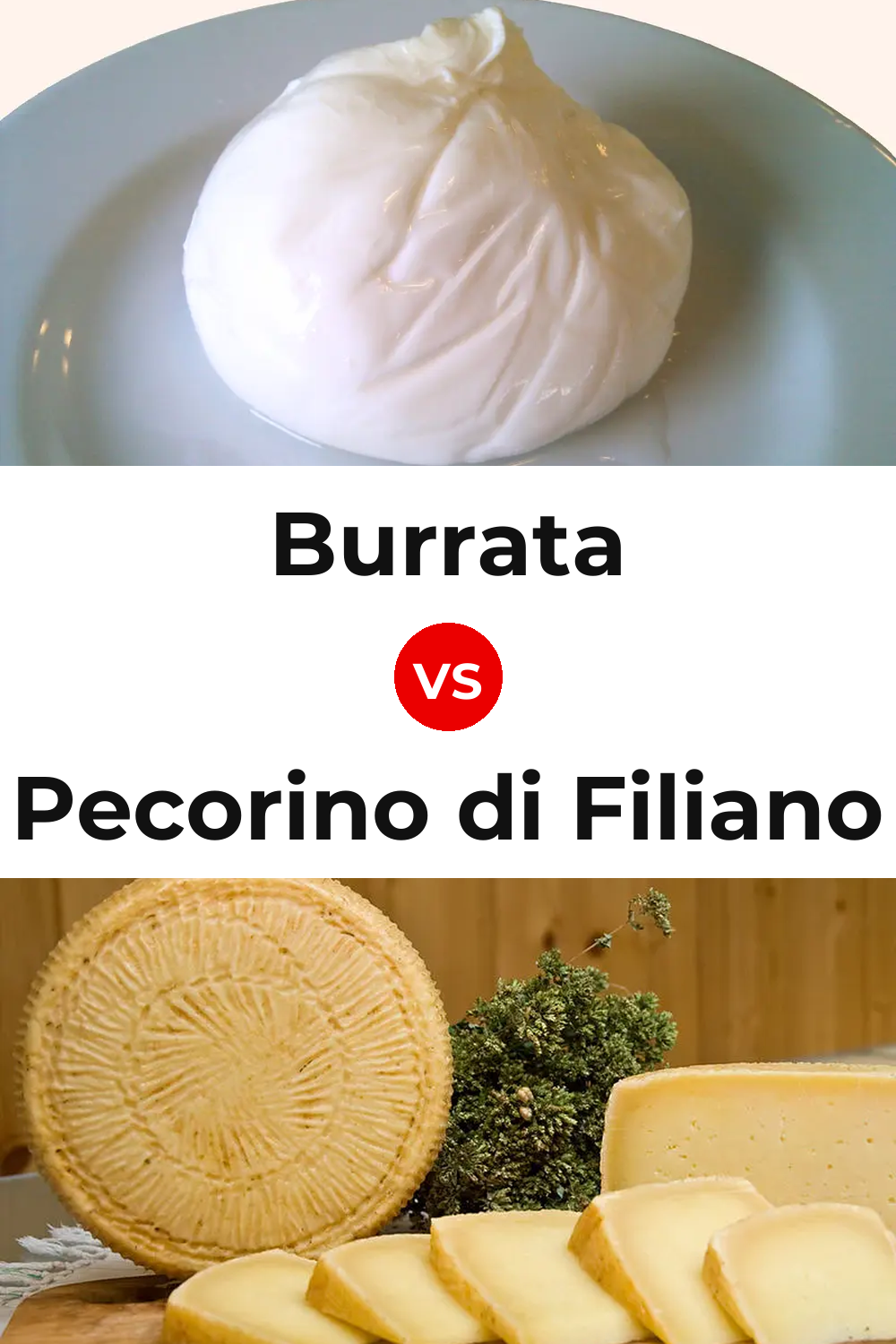 Burrata Cheese vs Pecorino di Filiano Cheese Pinterest comparison