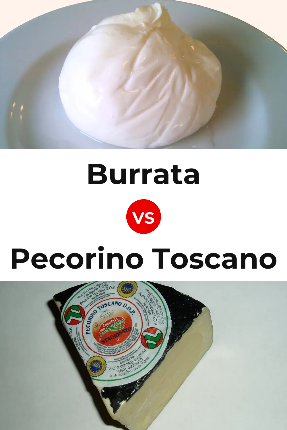 Burrata Cheese vs Pecorino Toscano Cheese Pinterest comparison