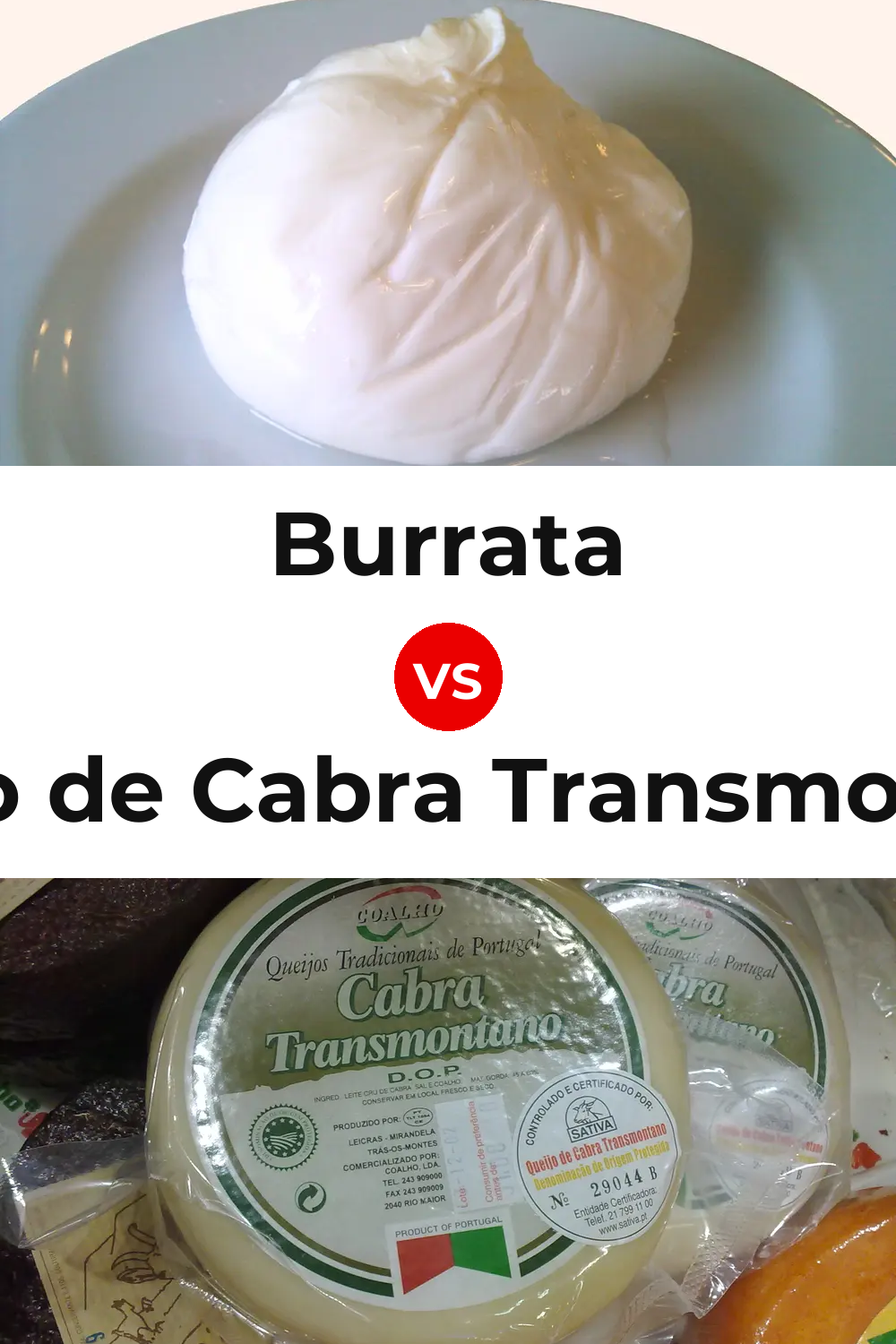 Burrata Cheese vs Queijo de Cabra Transmontano Pinterest comparison