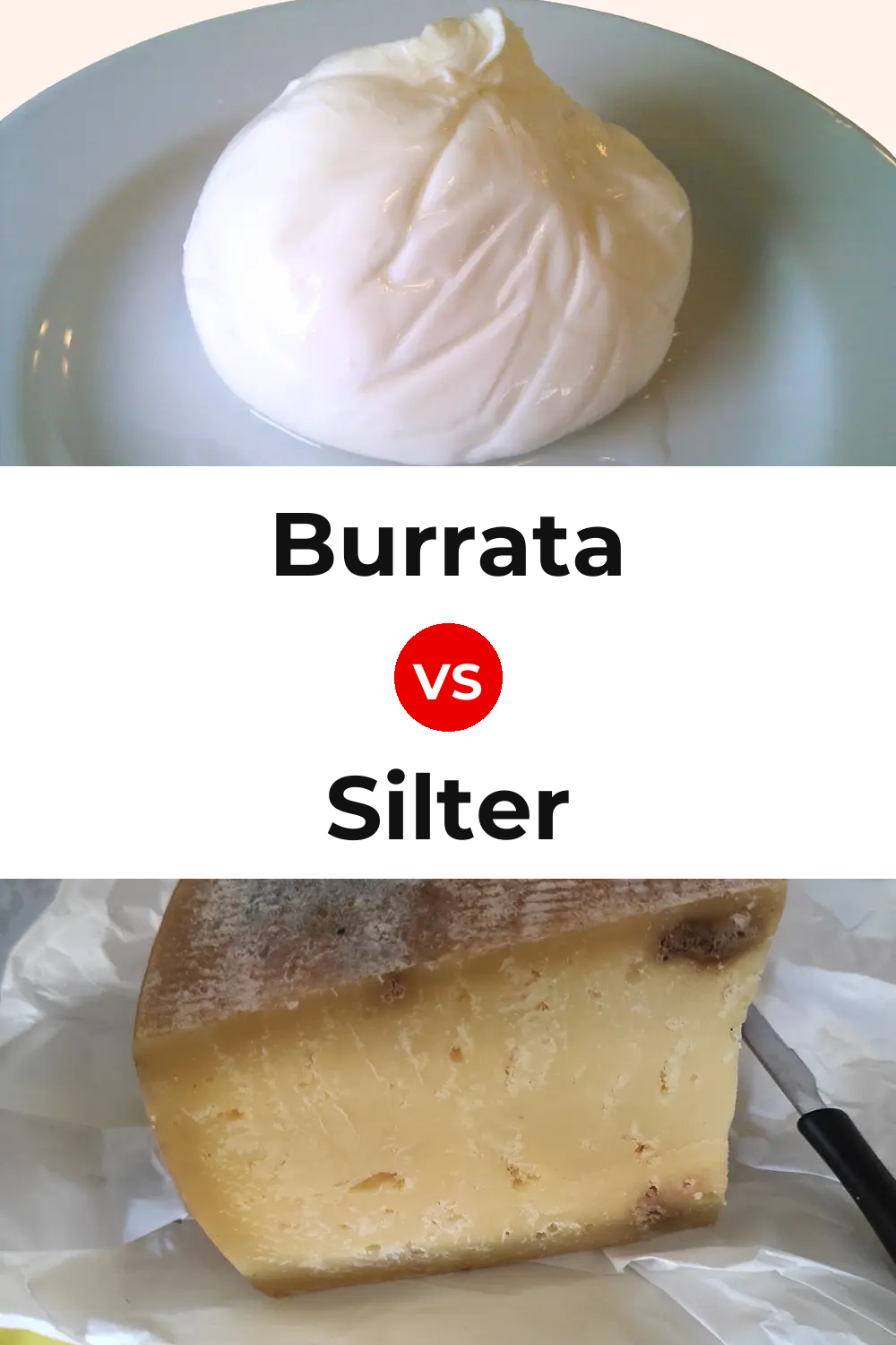 Burrata Cheese vs Silter Cheese Pinterest comparison