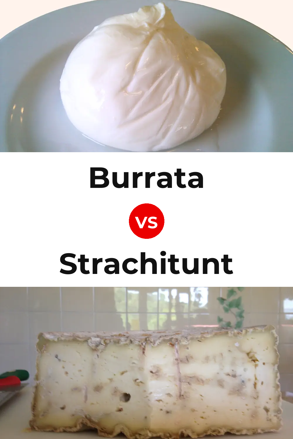 Burrata Cheese vs Strachitunt Cheese Pinterest comparison