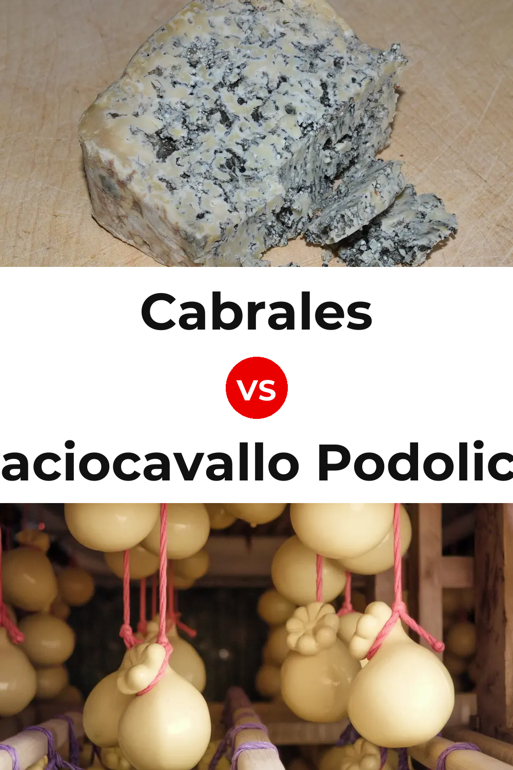 Cabrales Cheese vs Caciocavallo Podolico Cheese Pinterest comparison