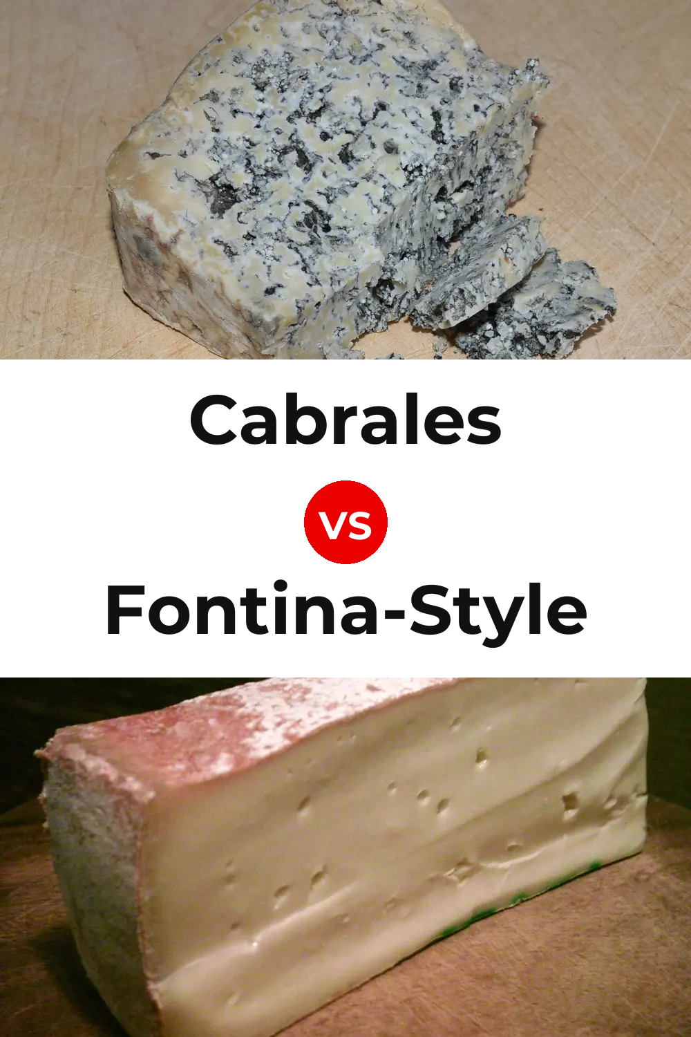 Cabrales Cheese vs Fontina-Style Cheese Pinterest comparison