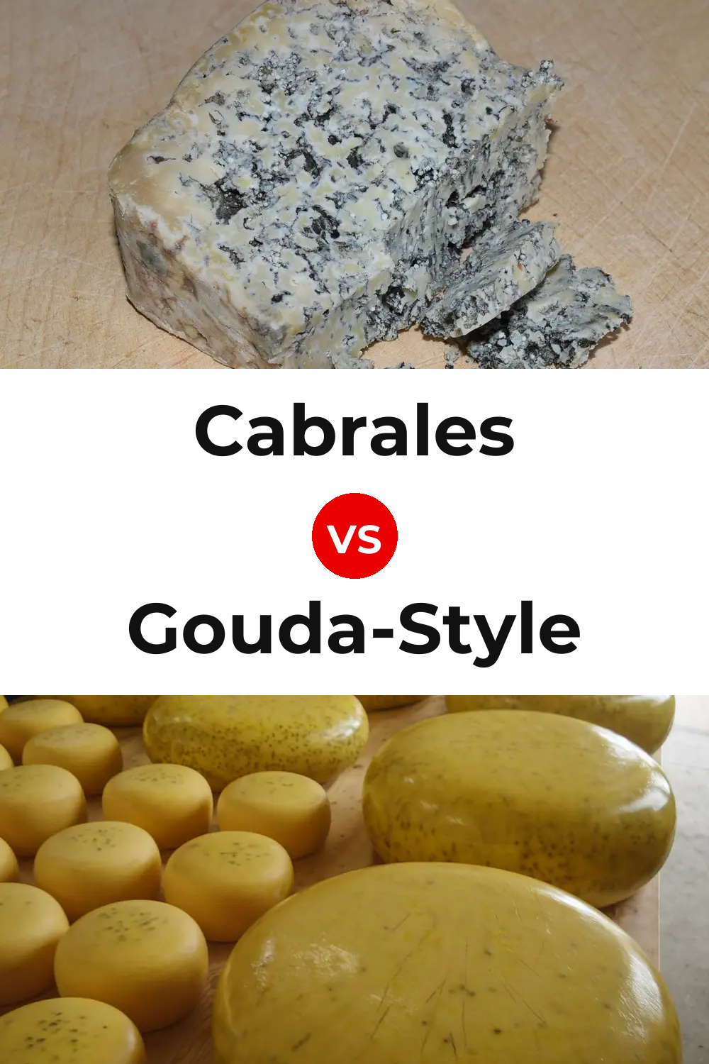 Cabrales Cheese vs Gouda-Style Cheese Pinterest comparison