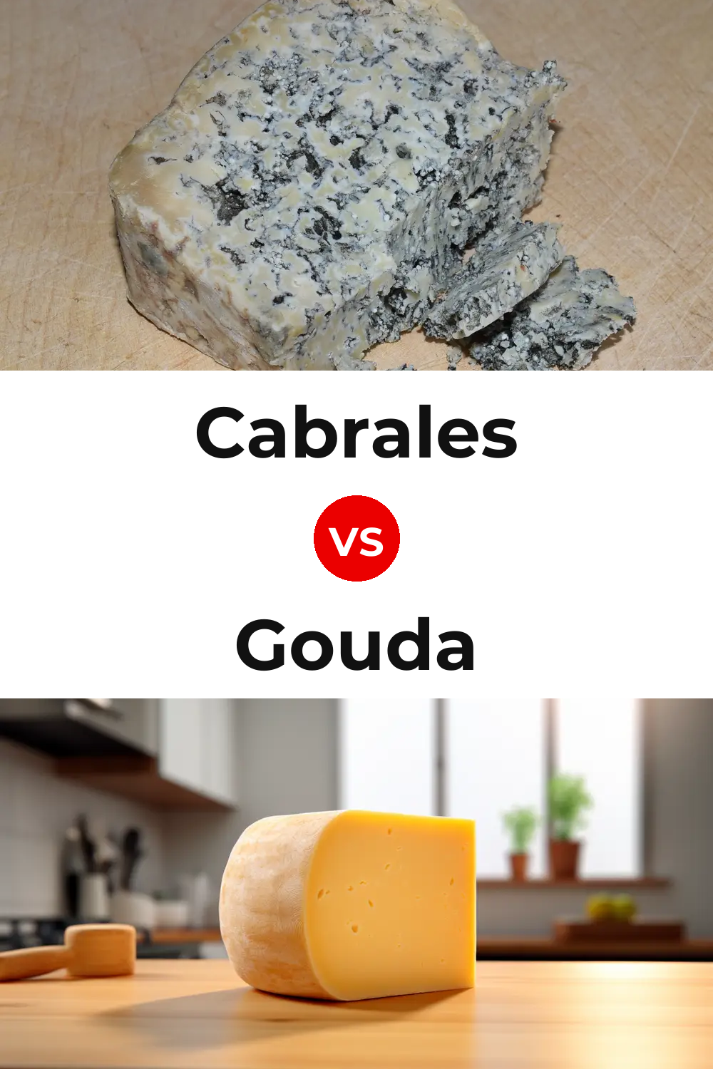 Cabrales Cheese vs Gouda Cheese Pinterest comparison
