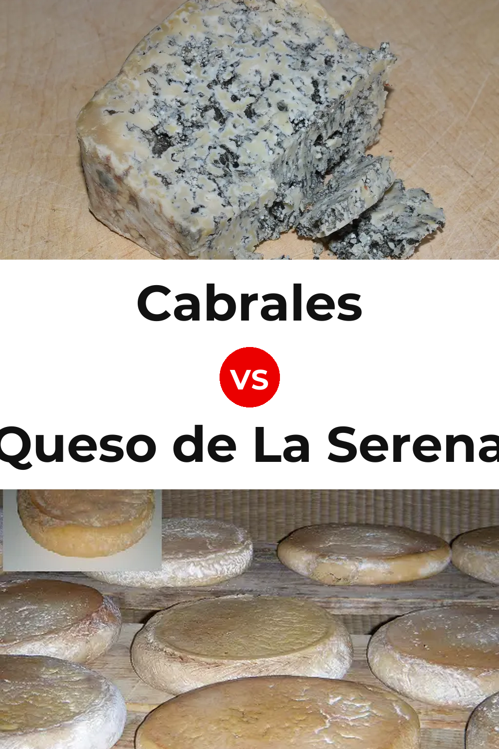 Cabrales Cheese vs Queso de La Serena Pinterest comparison