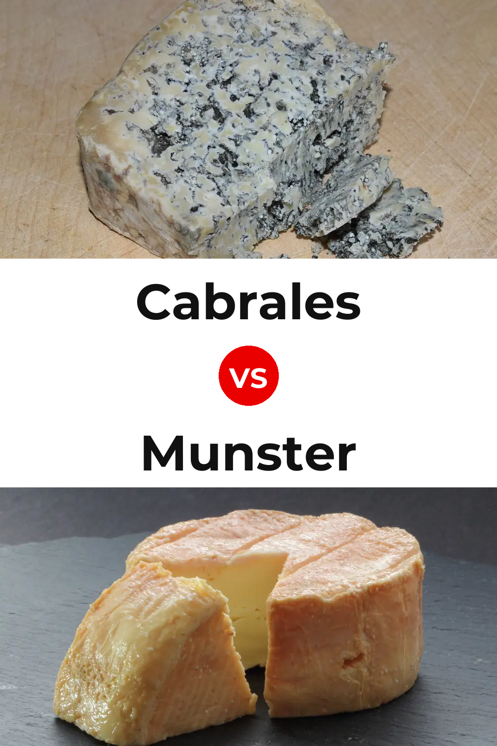 Cabrales Cheese vs Munster Cheese Pinterest comparison
