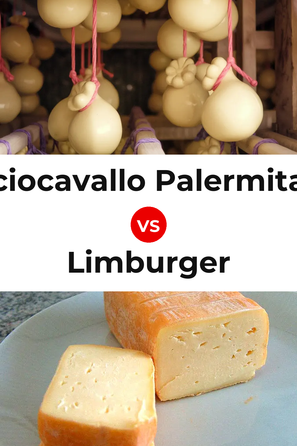 Caciocavallo Palermitano Cheese vs Limburger Cheese Pinterest comparison