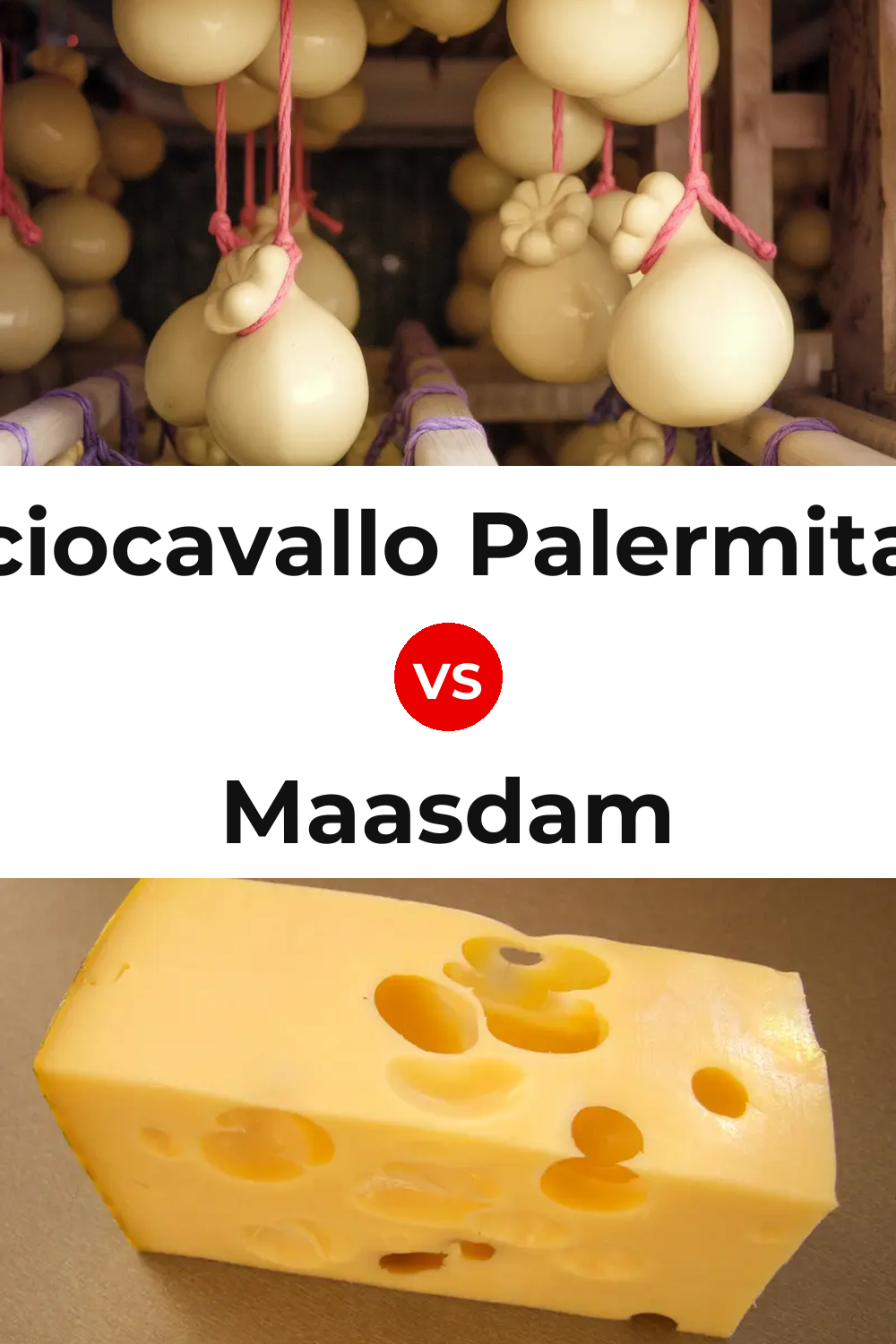Caciocavallo Palermitano Cheese vs Maasdam Cheese Pinterest comparison