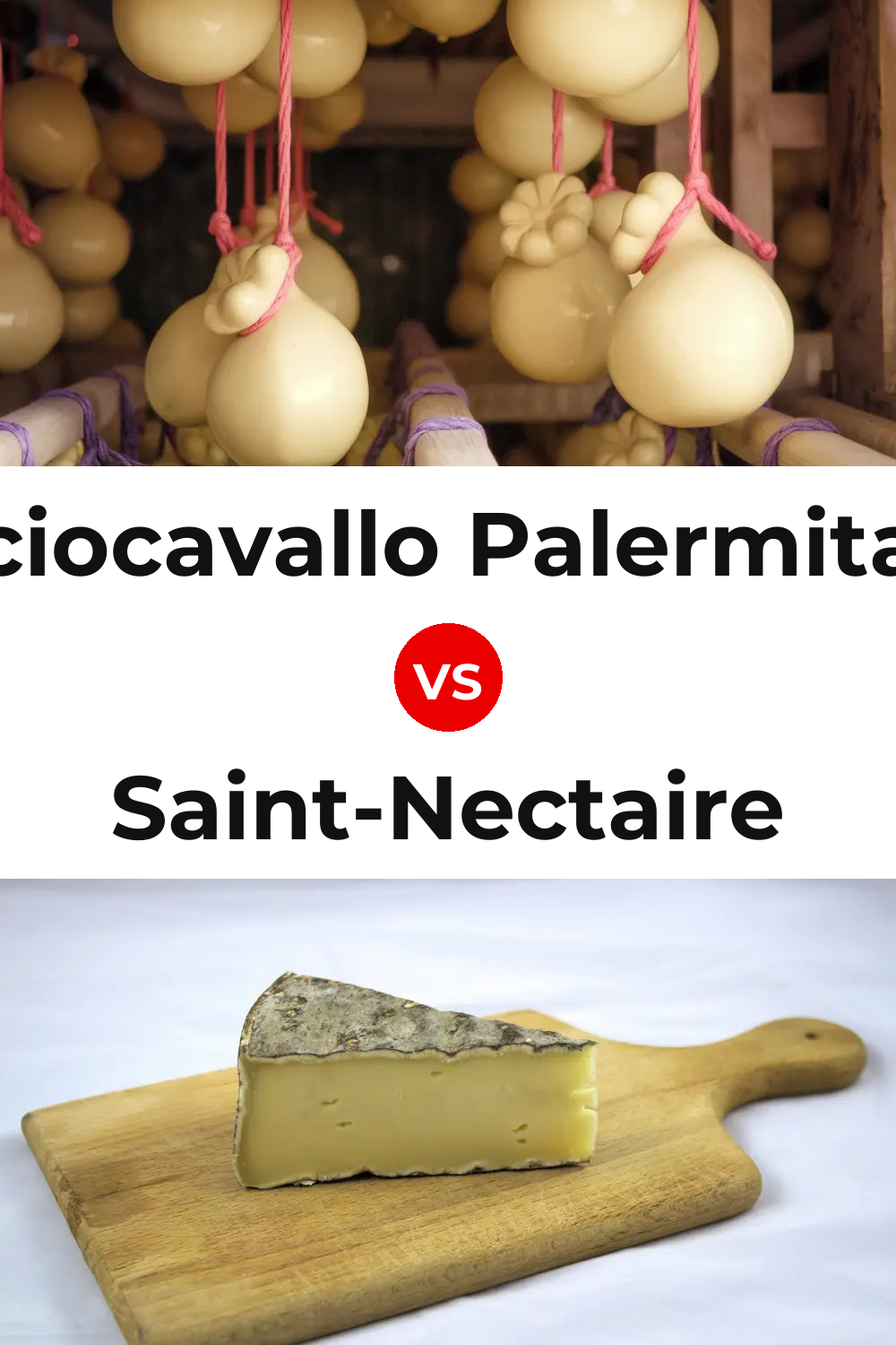 Caciocavallo Palermitano Cheese vs Saint-Nectaire Cheese Pinterest comparison