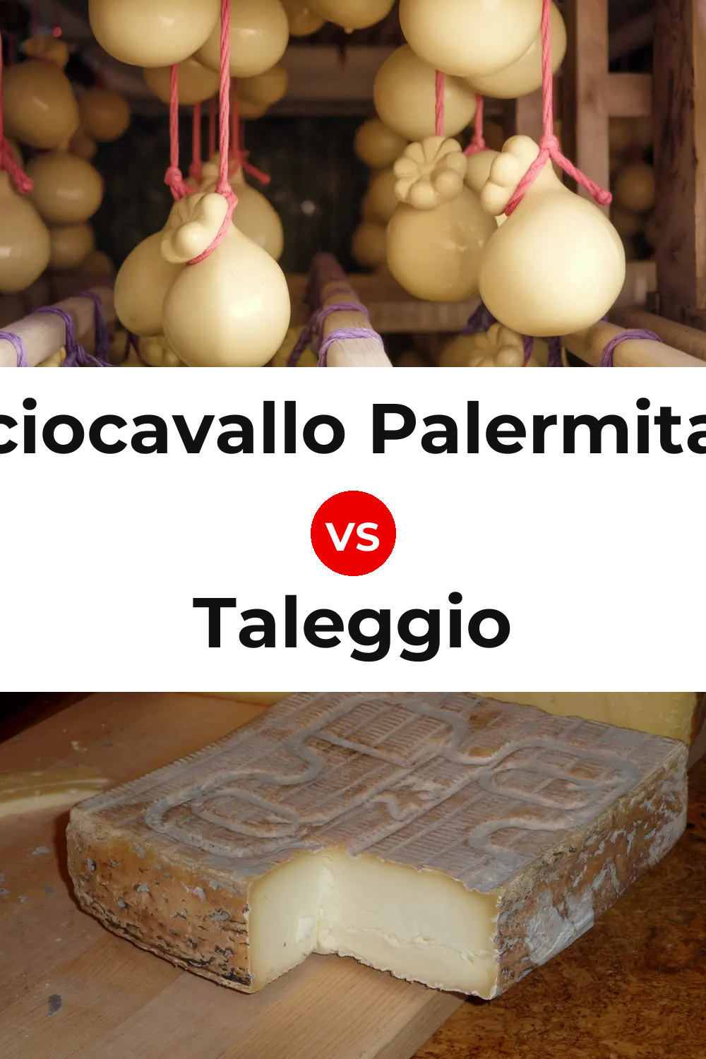 Caciocavallo Palermitano Cheese vs Taleggio Cheese Pinterest comparison