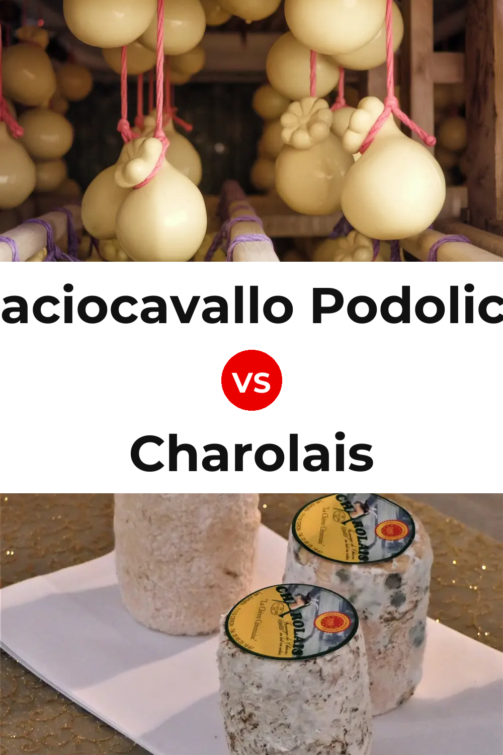 Caciocavallo Podolico Cheese vs Charolais Cheese Pinterest comparison