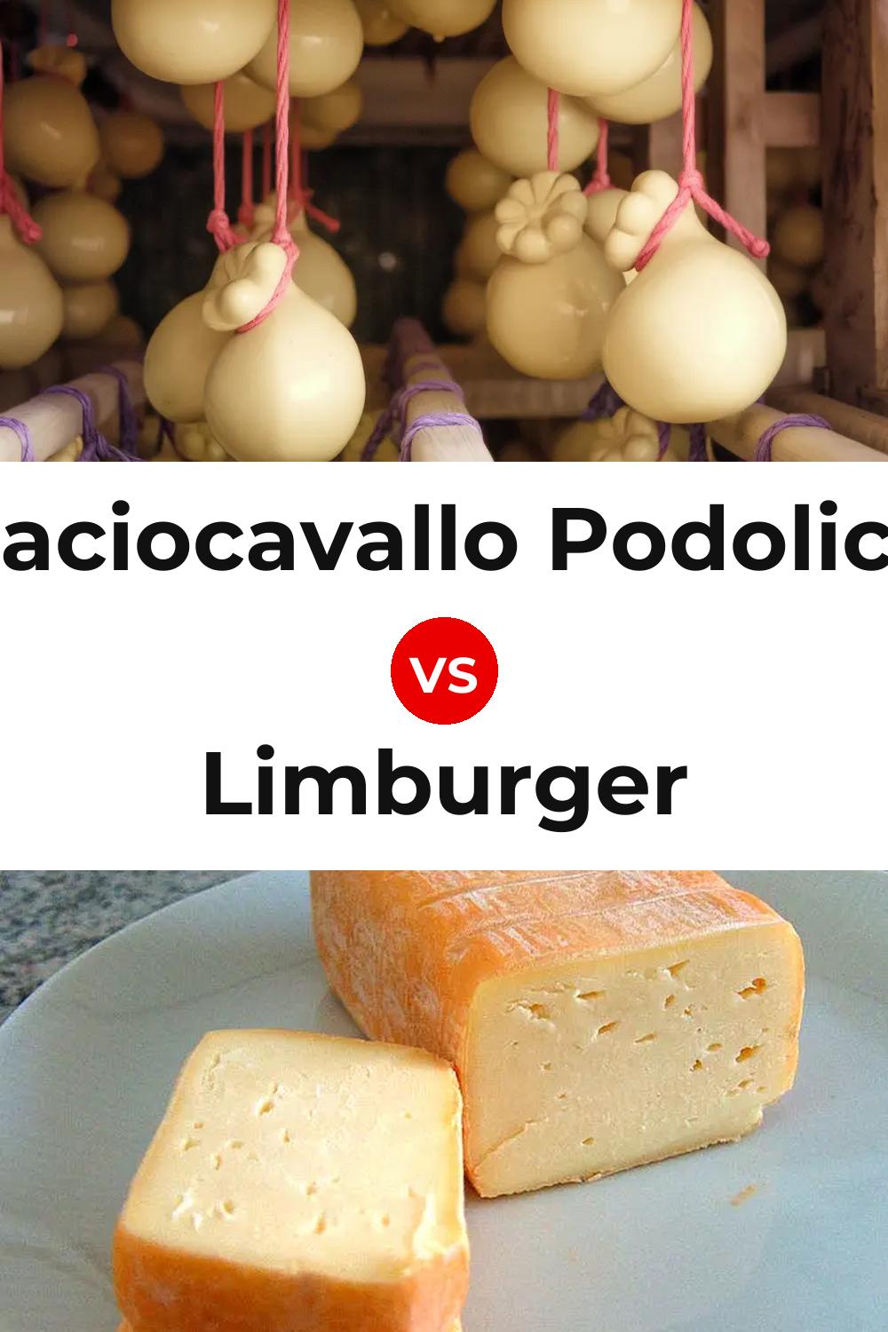 Caciocavallo Podolico Cheese vs Limburger Cheese Pinterest comparison
