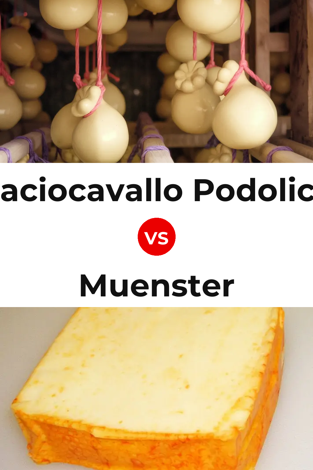 Caciocavallo Podolico Cheese vs Muenster Cheese Pinterest comparison