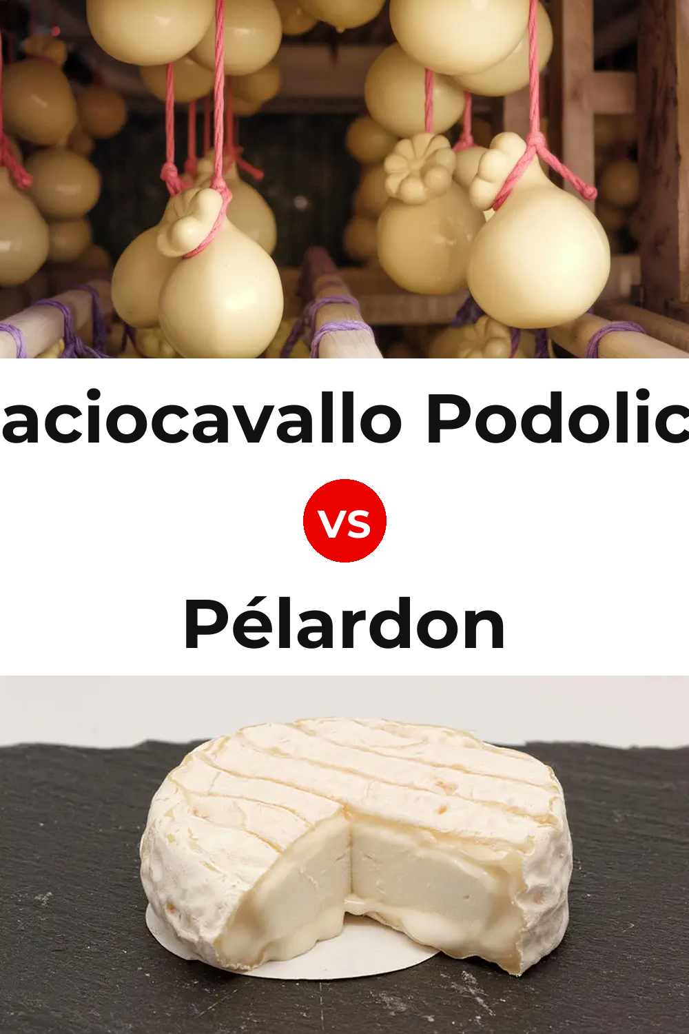 Caciocavallo Podolico Cheese vs Pélardon Cheese Pinterest comparison