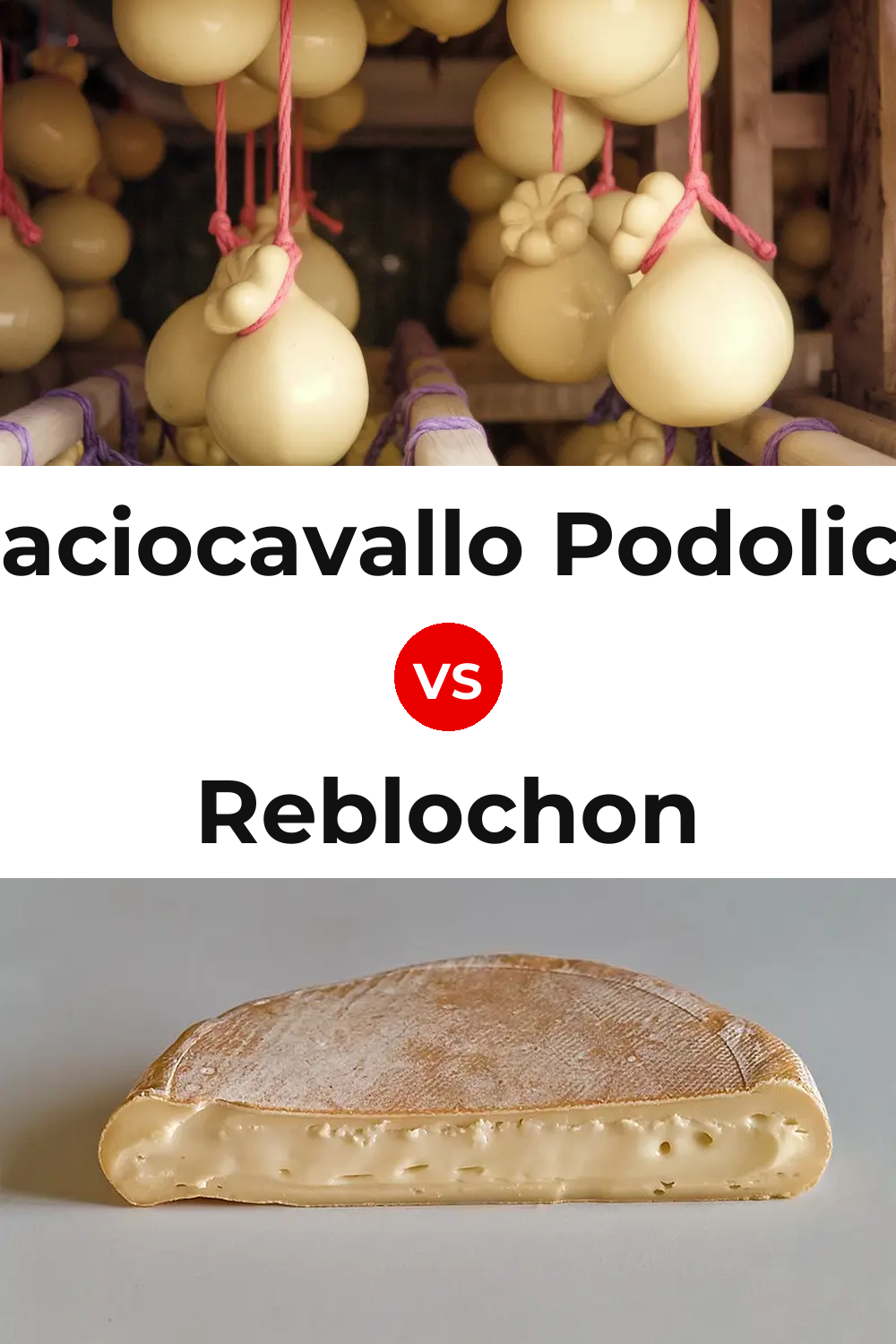Caciocavallo Podolico Cheese vs Reblochon Cheese Pinterest comparison