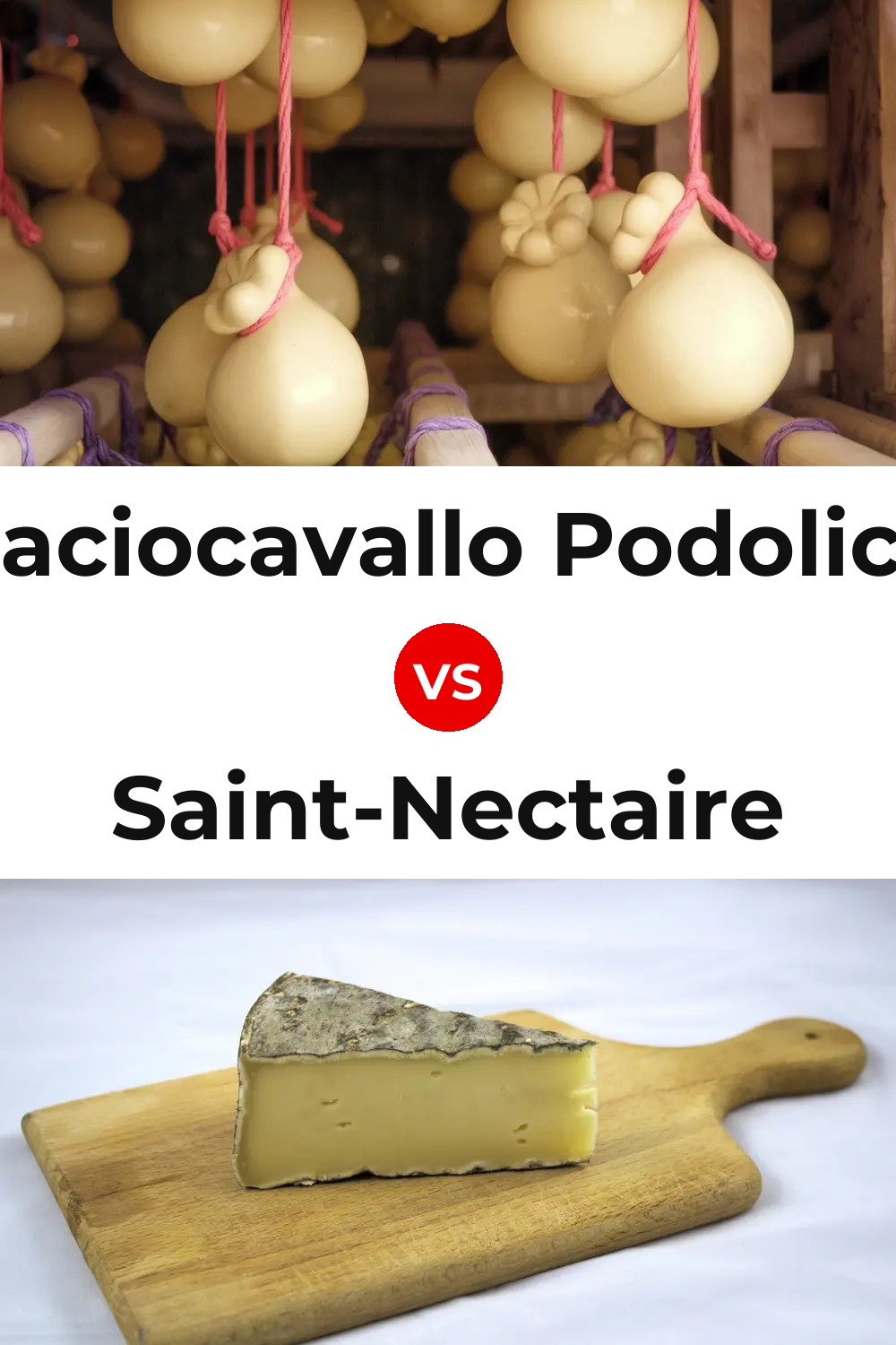 Caciocavallo Podolico Cheese vs Saint-Nectaire Cheese Pinterest comparison