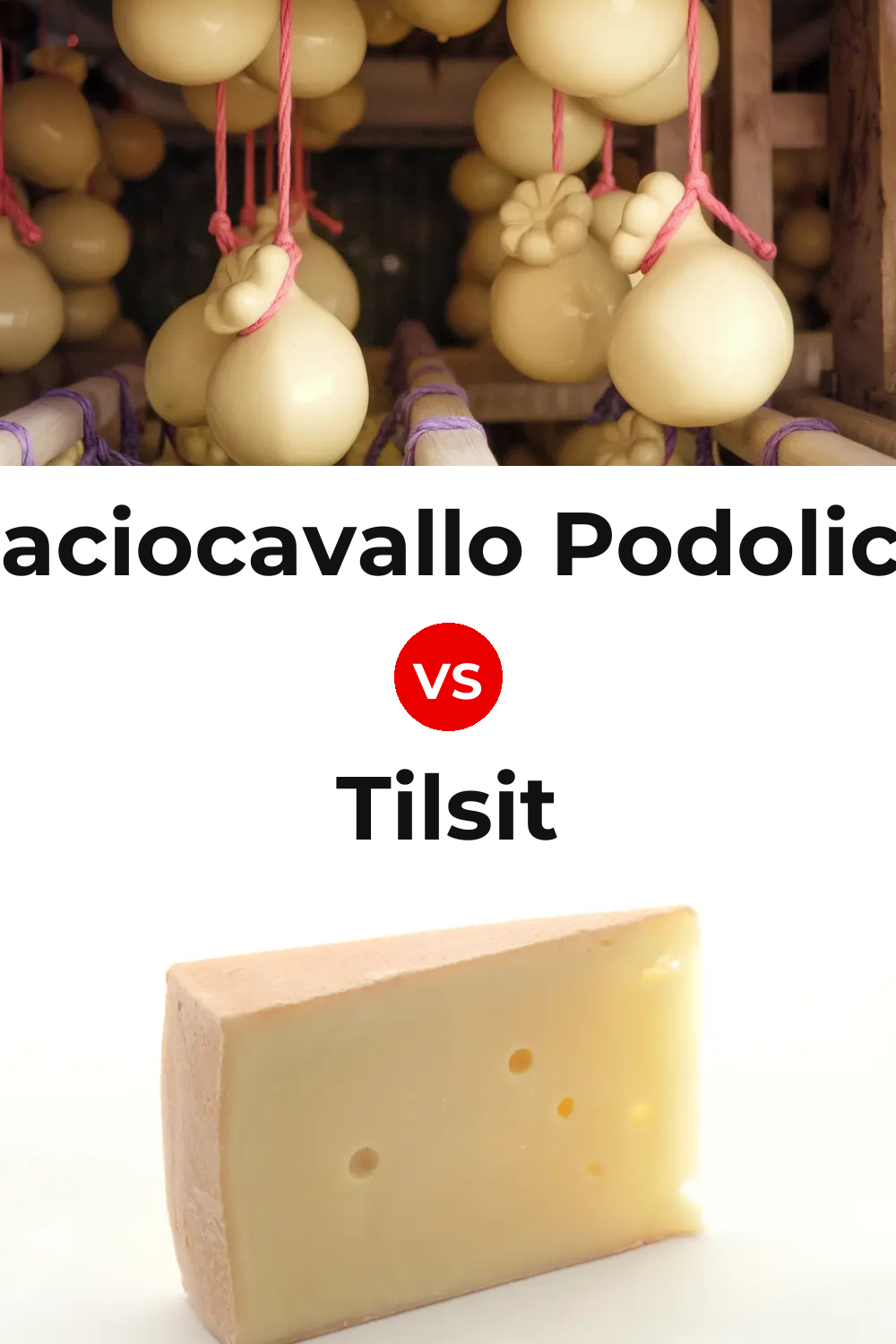 Caciocavallo Podolico Cheese vs Tilsit Cheese Pinterest comparison