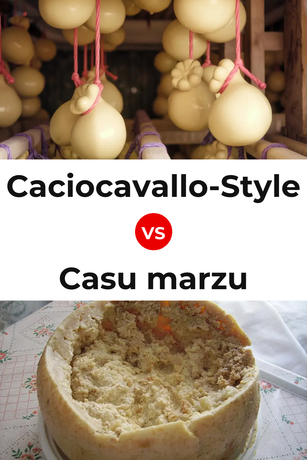 Caciocavallo-Style Cheese vs Casu marzu Cheese Pinterest comparison