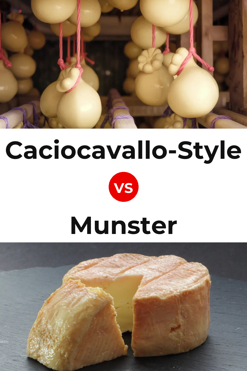 Caciocavallo-Style Cheese vs Munster Cheese Pinterest comparison
