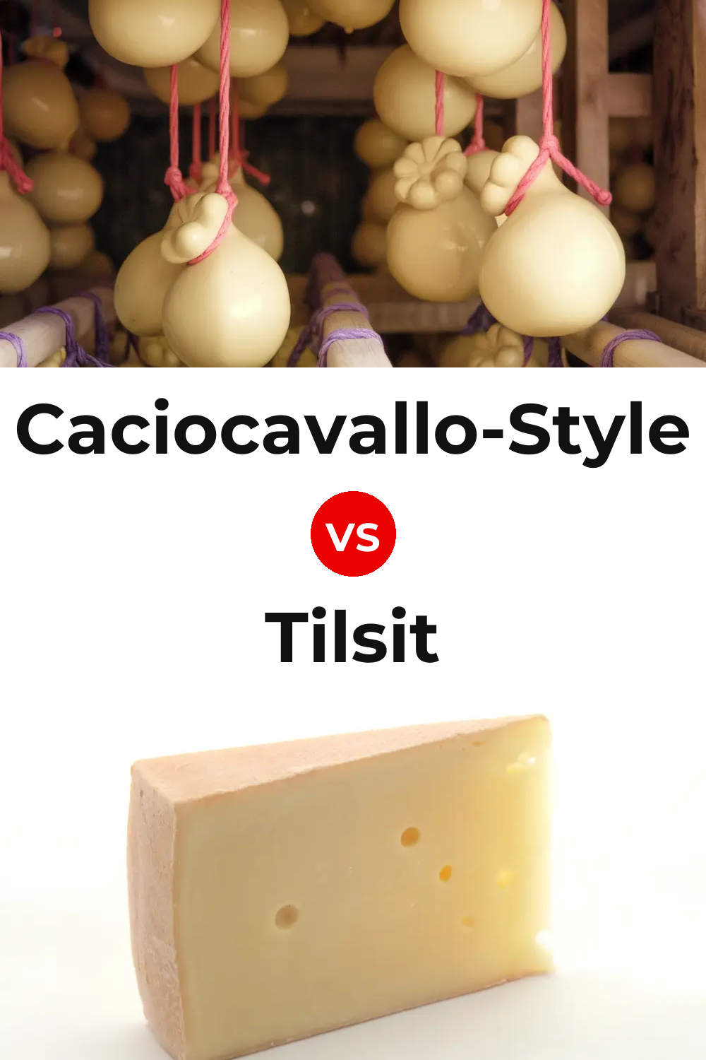Caciocavallo-Style Cheese vs Tilsit Cheese Pinterest comparison