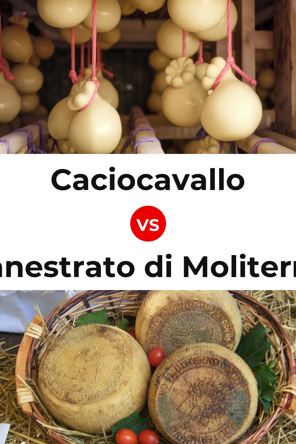 Caciocavallo Cheese vs Canestrato di Moliterno Cheese Pinterest comparison