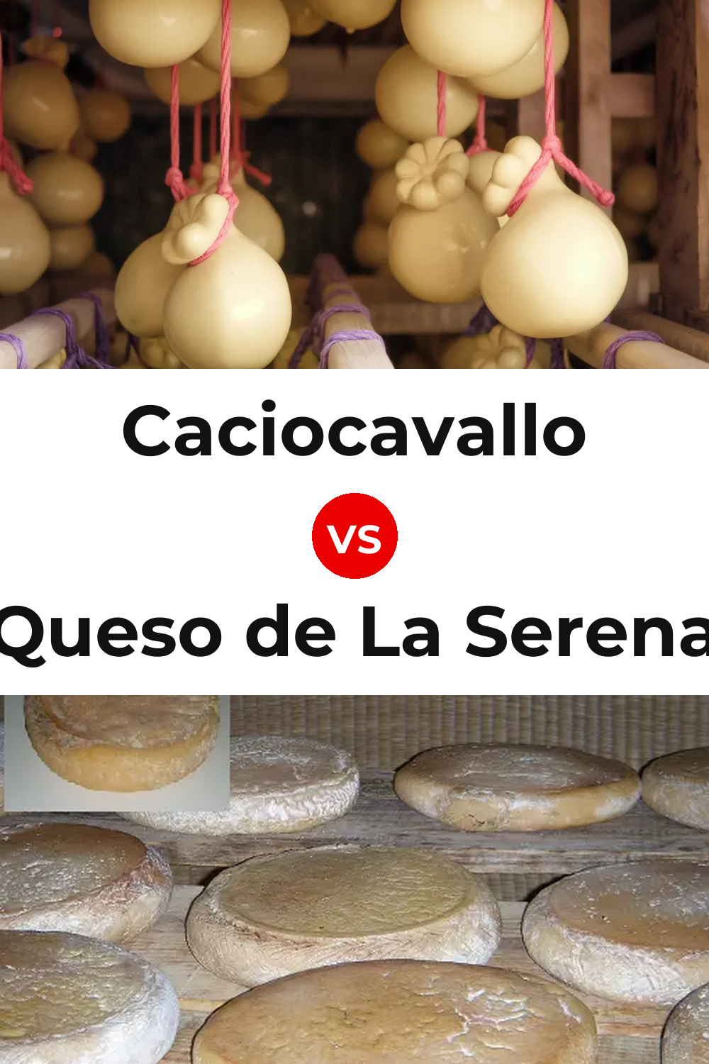 Caciocavallo Cheese vs Queso de La Serena Pinterest comparison
