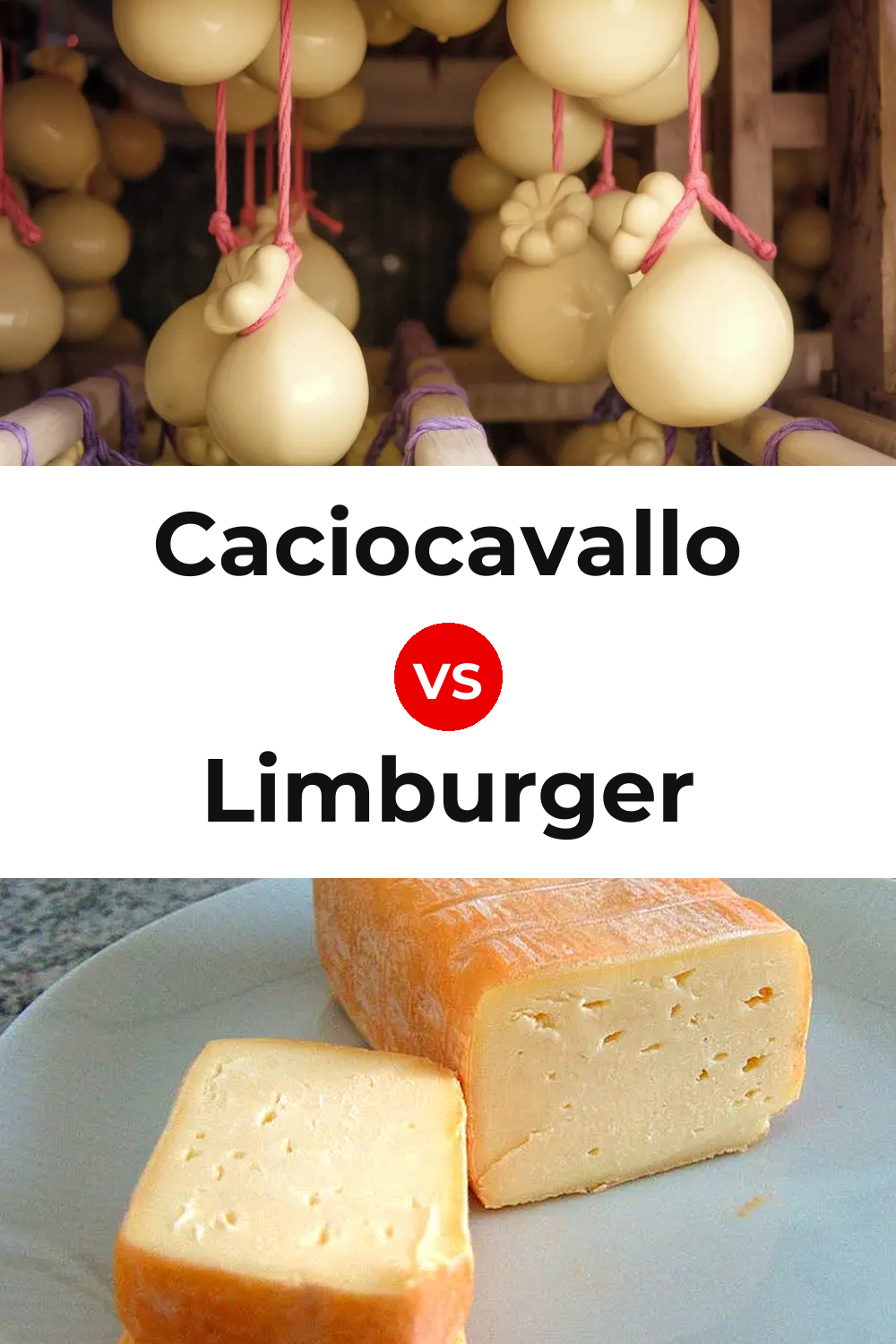 Caciocavallo Cheese vs Limburger Cheese Pinterest comparison