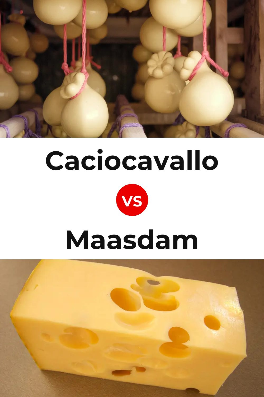 Caciocavallo Cheese vs Maasdam Cheese Pinterest comparison