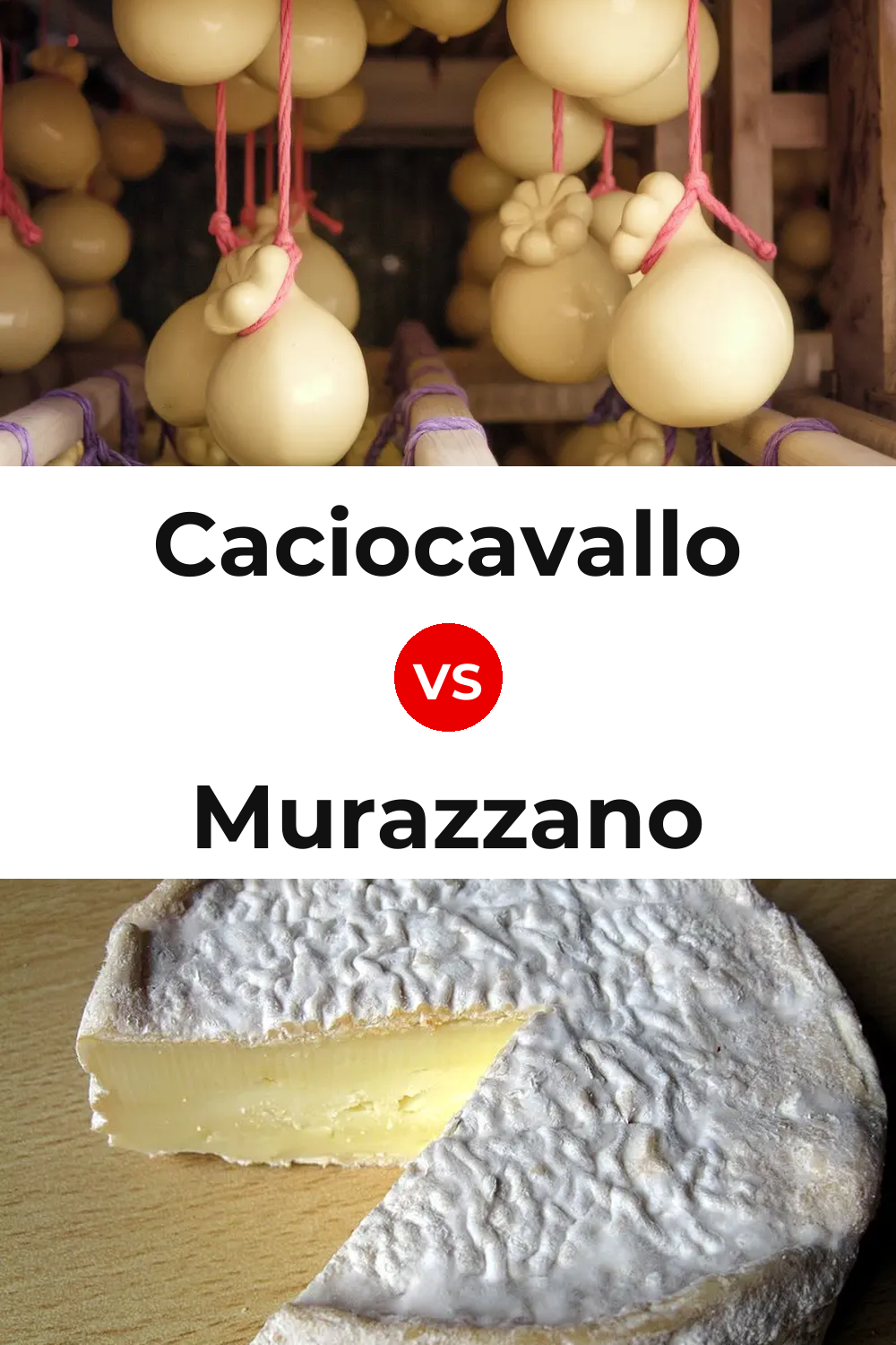 Caciocavallo Cheese vs Murazzano Cheese Pinterest comparison