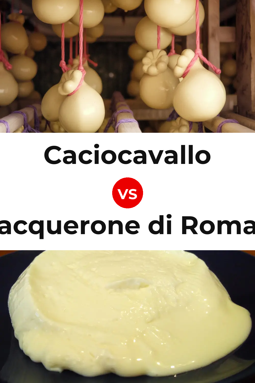 Caciocavallo Cheese vs Squacquerone di Romagna Cheese Pinterest comparison