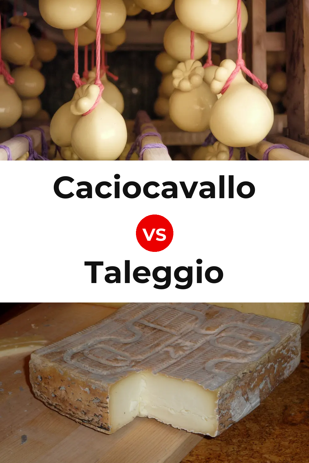Caciocavallo Cheese vs Taleggio Cheese Pinterest comparison