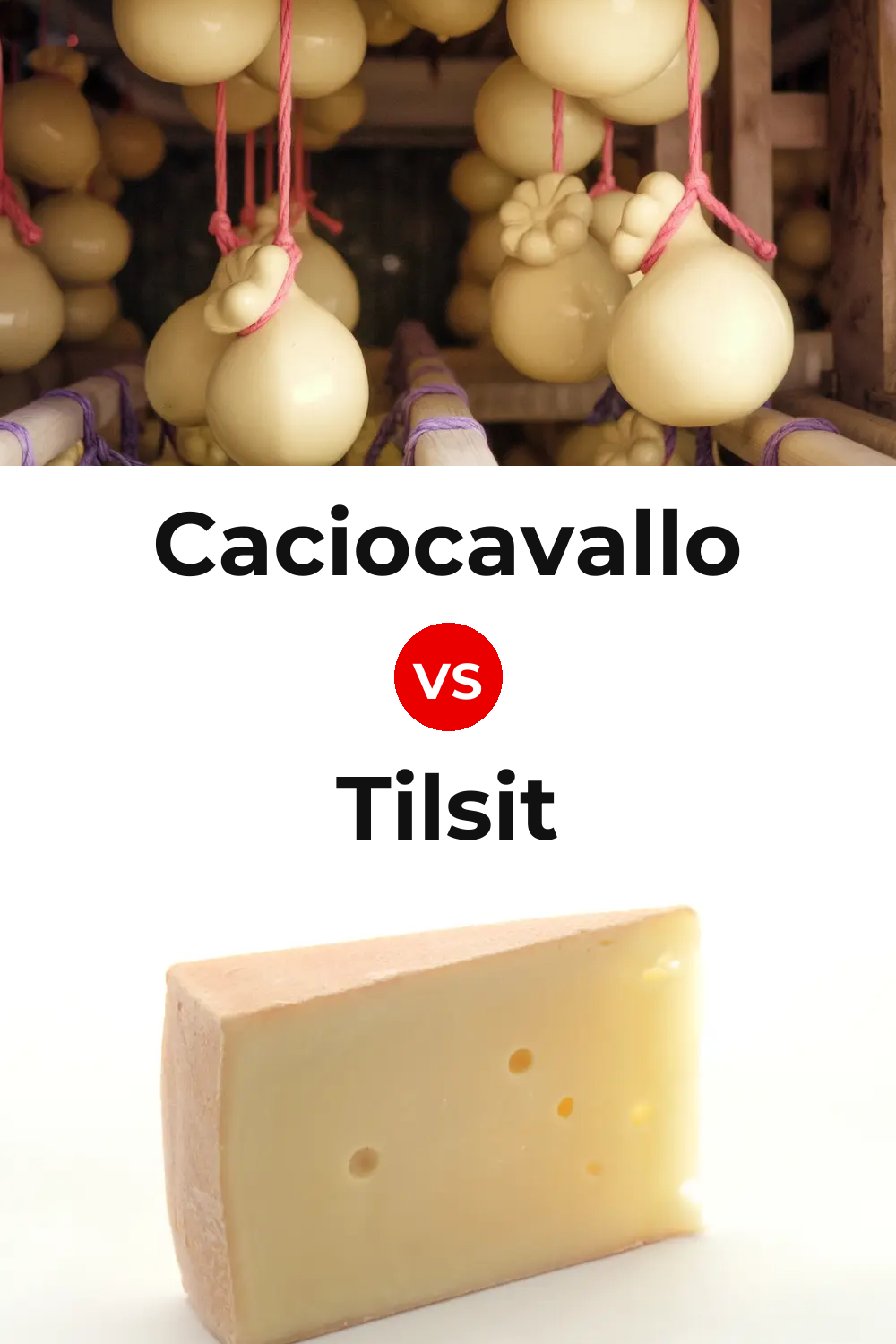 Caciocavallo Cheese vs Tilsit Cheese Pinterest comparison