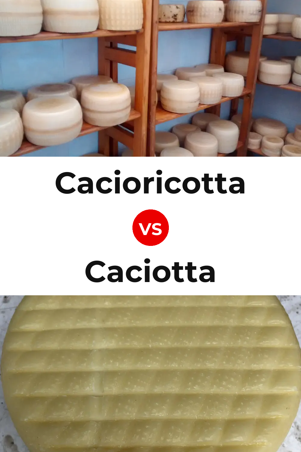 Cacioricotta Cheese vs Caciotta Cheese Pinterest comparison
