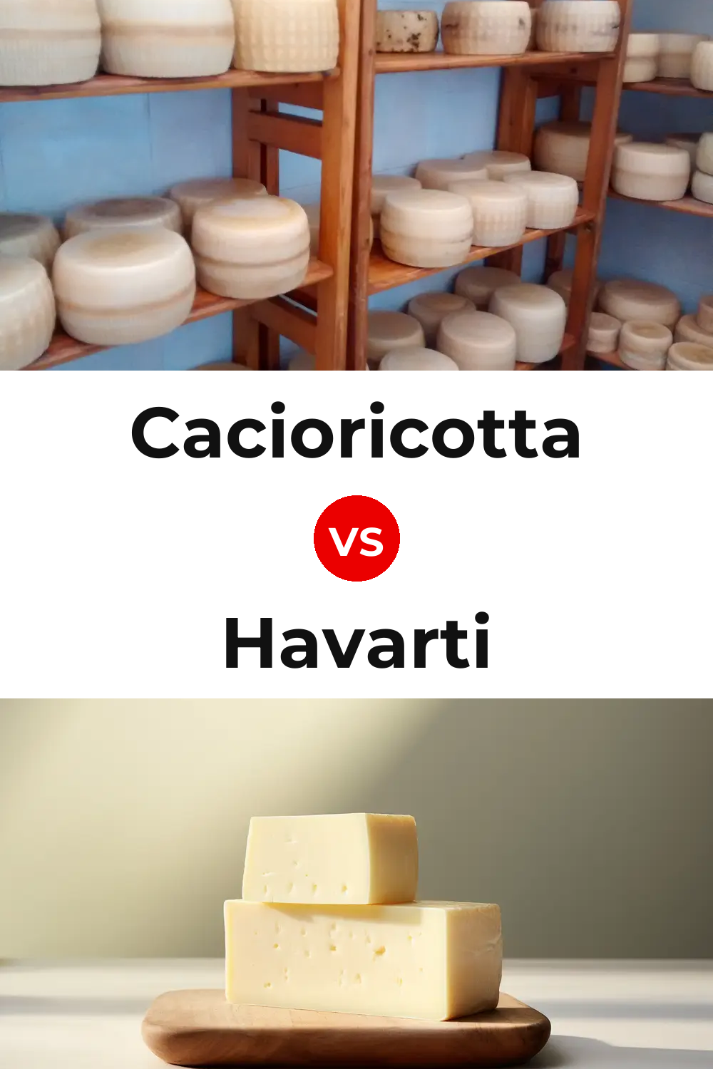 Cacioricotta Cheese vs Havarti Cheese Pinterest comparison