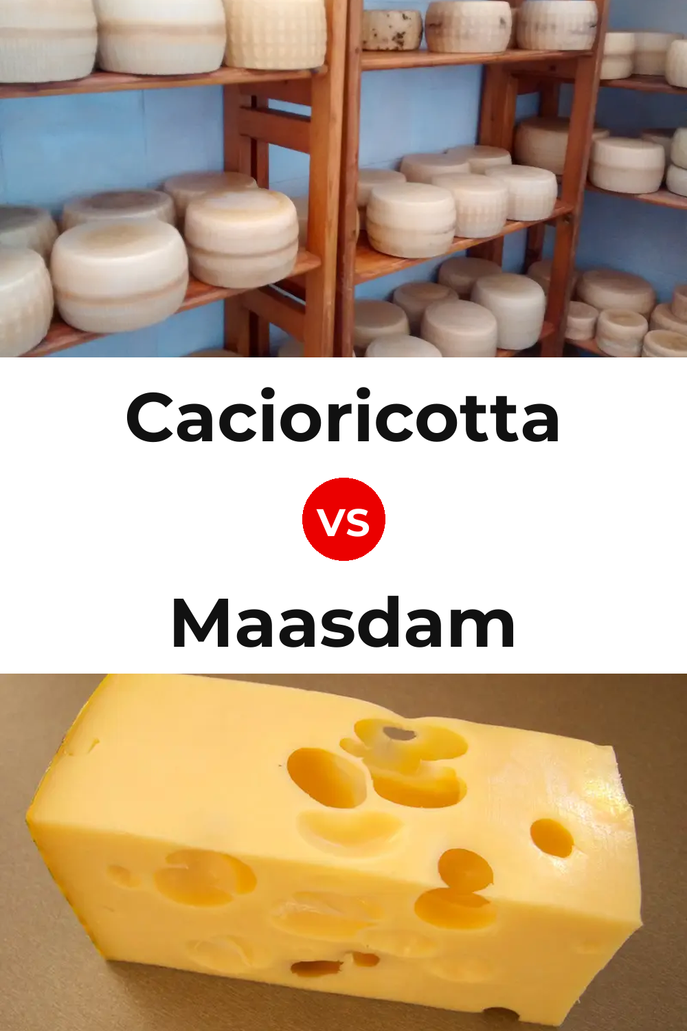 Cacioricotta Cheese vs Maasdam Cheese Pinterest comparison