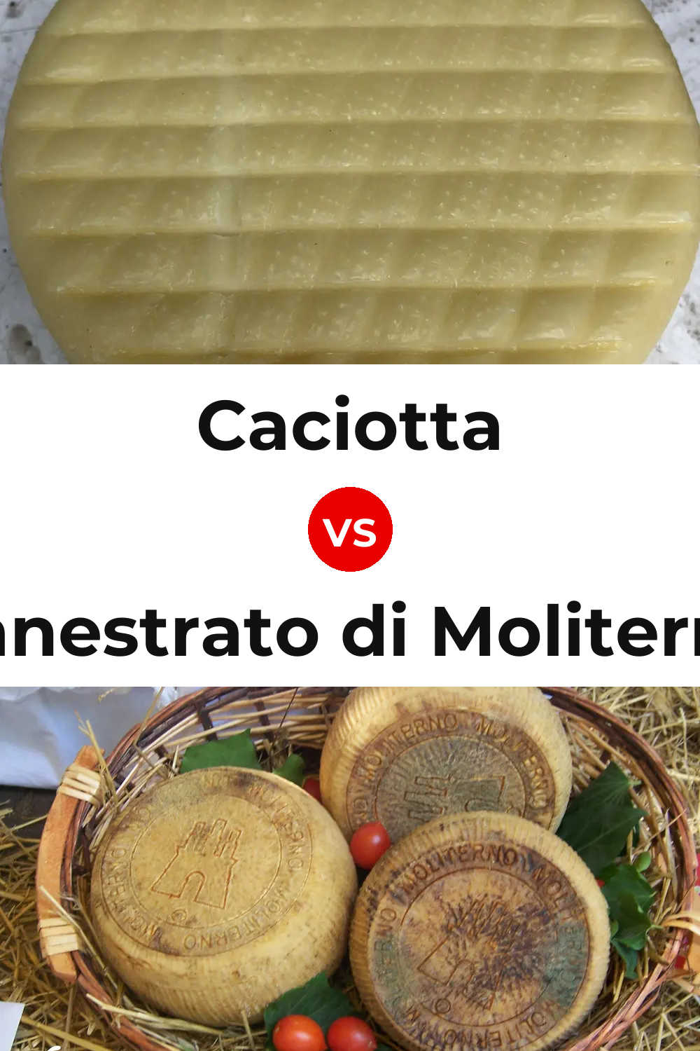 Caciotta Cheese vs Canestrato di Moliterno Cheese Pinterest comparison