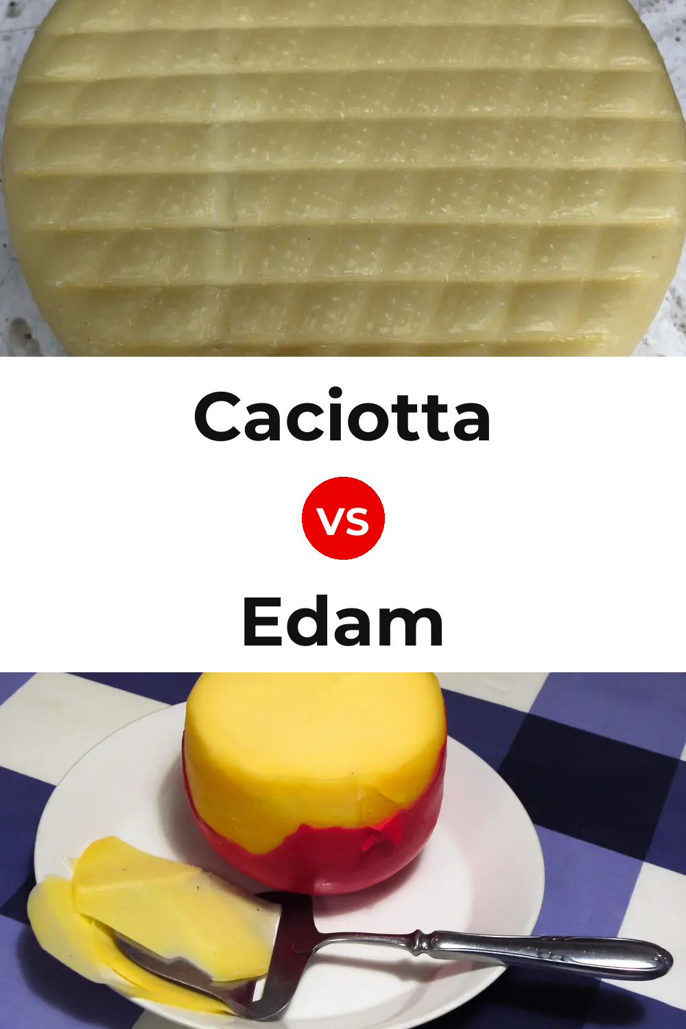 Caciotta Cheese vs Edam Cheese Pinterest comparison