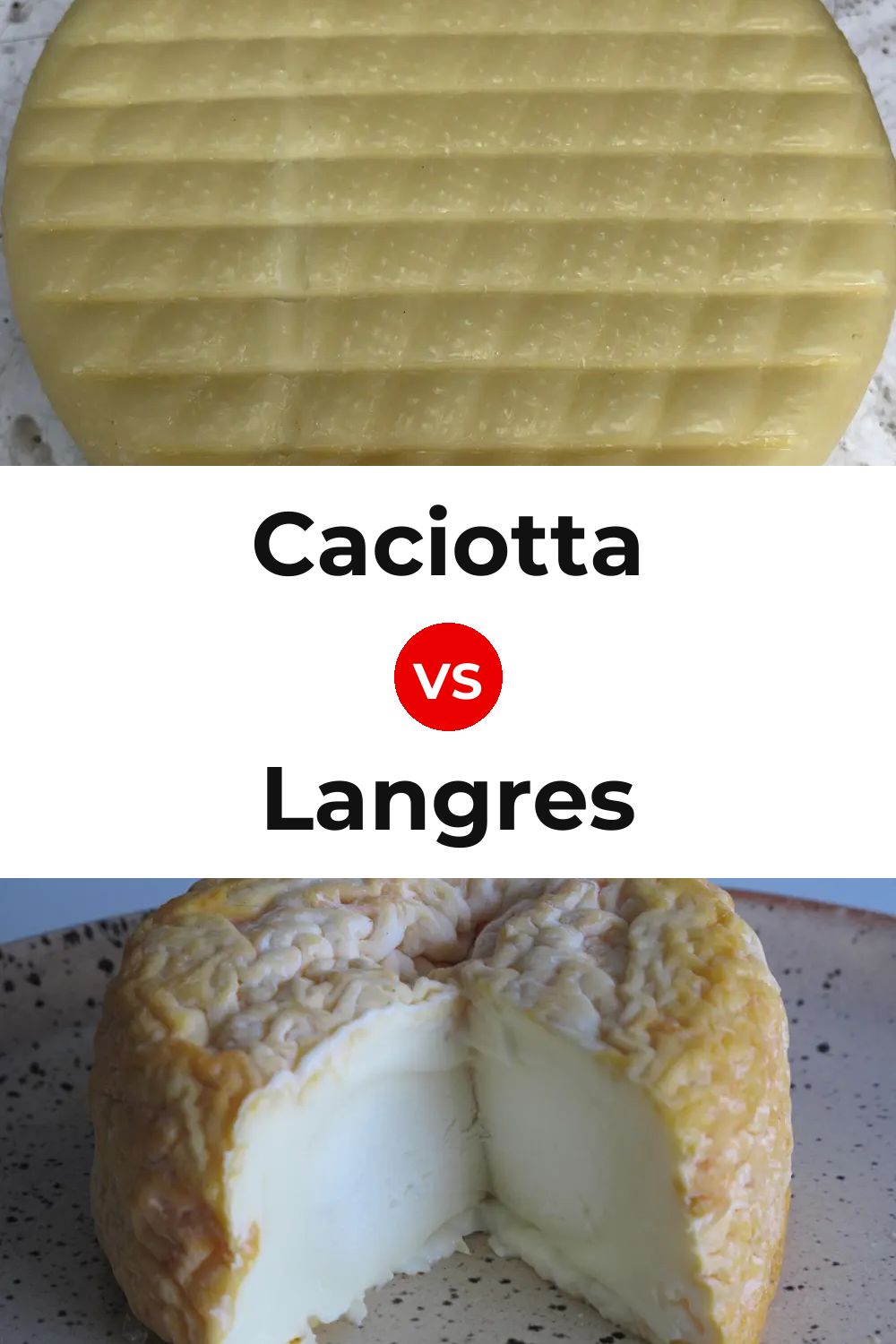 Caciotta Cheese vs Langres Cheese Pinterest comparison