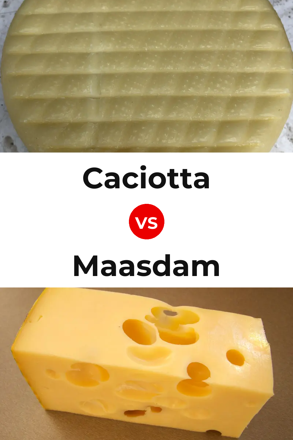 Caciotta Cheese vs Maasdam Cheese Pinterest comparison