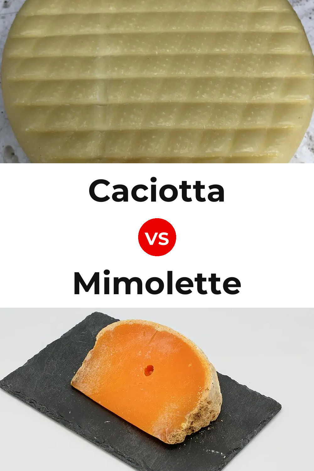 Caciotta Cheese vs Mimolette Cheese Pinterest comparison